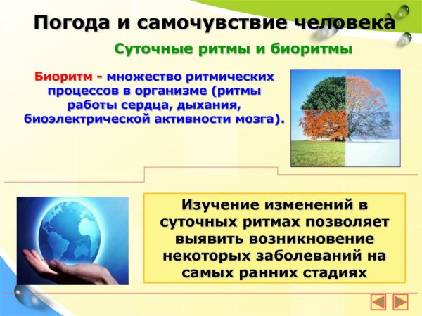 Климат и микроклимат