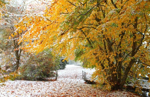 Парк поздняя осень