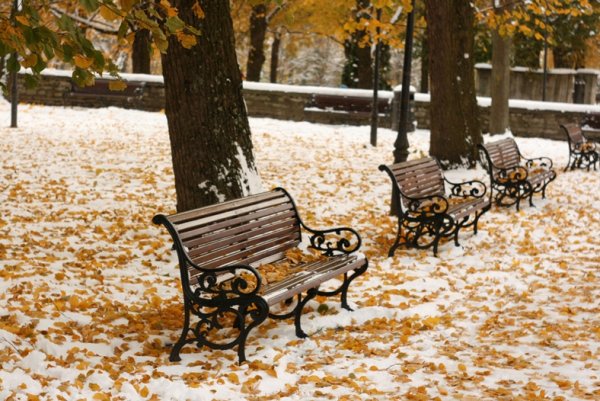 Снежная осень в городе