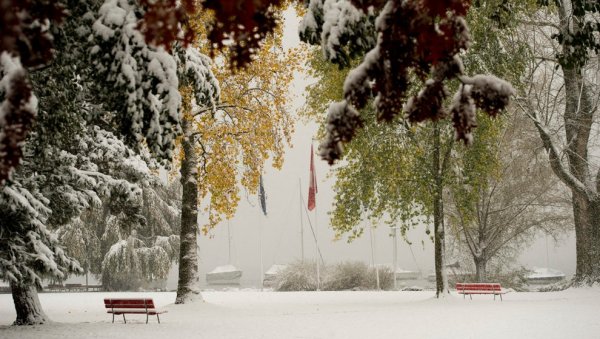 Европа зимний парк