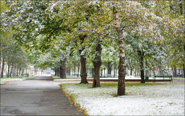Первый снег парк