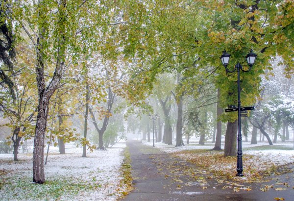 Поздняя осень в городе