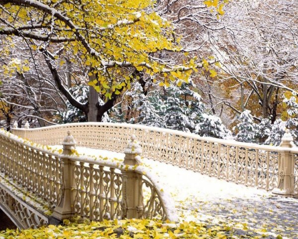 Центральный парк Нью-Йорк мостик