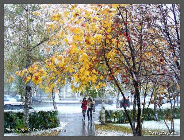 Ноябрь в городе