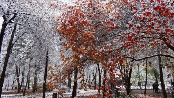 Поздняя осень в городе
