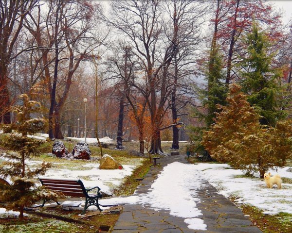 Парк ранней весной