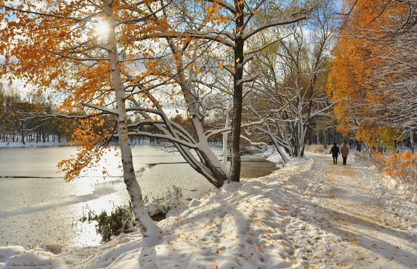 Ноябрь снег солнце