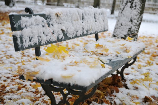 Первый снег в городе лавочка ноябре