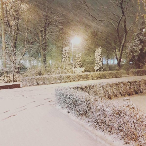 Первый снег в городе