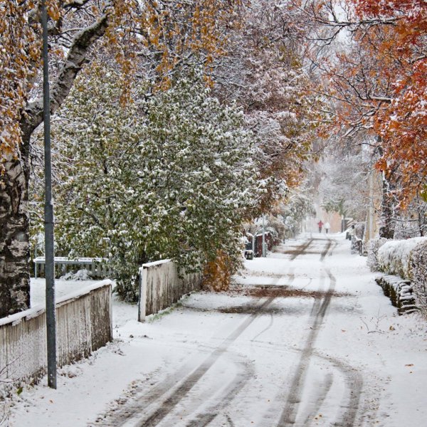 Снежная осень