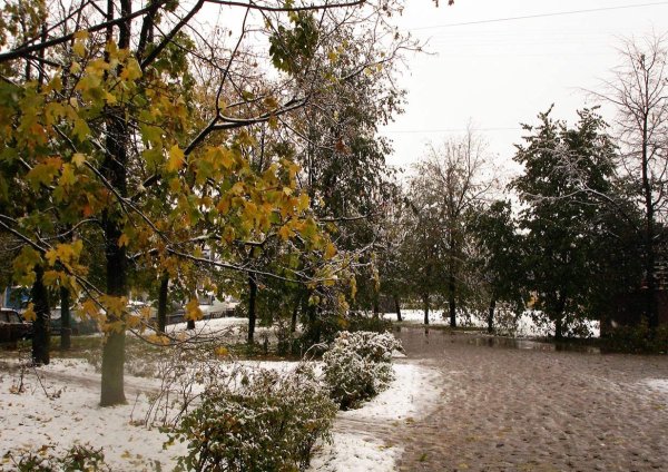 Снежная осень в городе