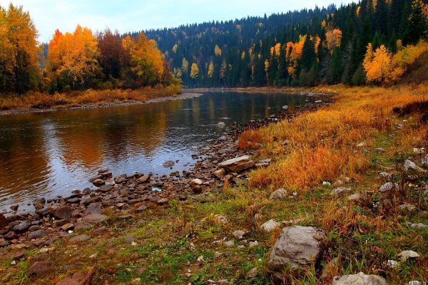 Река Усьва осенью
