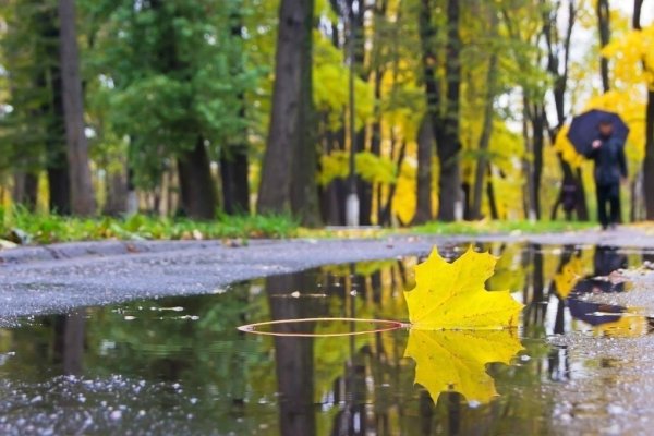 Осень сентябрь дождь