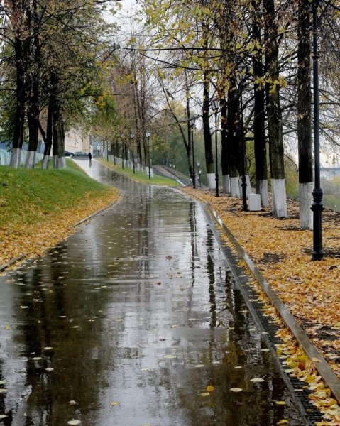 Дождливая осень в городе