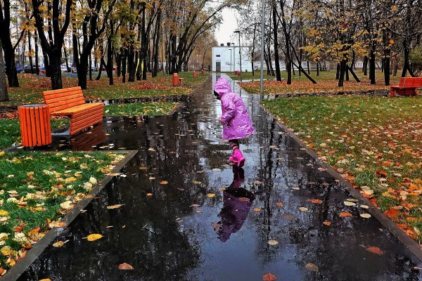 Осенний дождь в Москве