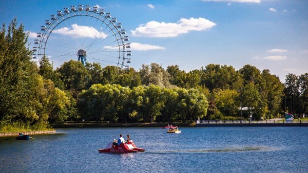 Измайловский лесопарк Москва