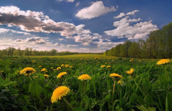 Май природа