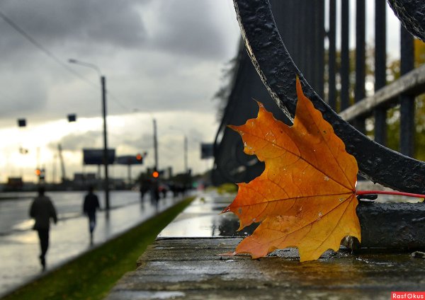 Ветер осень город