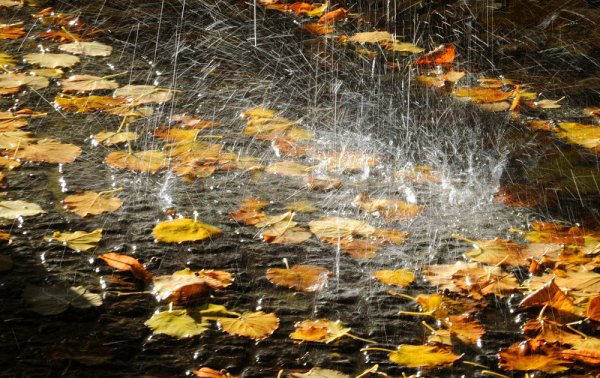 Осенняя дождливая погода