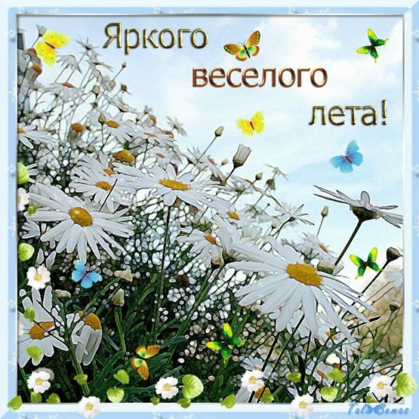 Пожелания хорошего лета