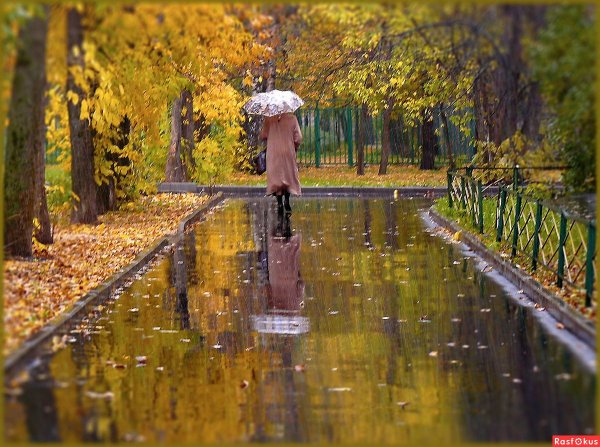 Осенний парк под дождем
