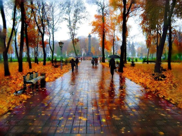 Осенний парк в городе
