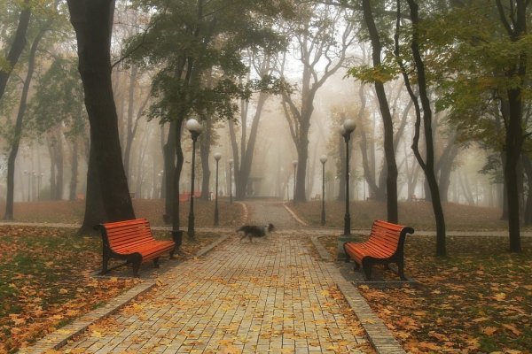 Старый парк осенью