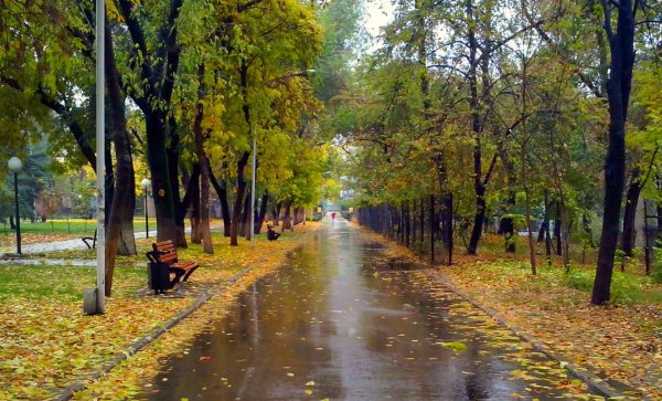 Парк Царицыно осенью ливень