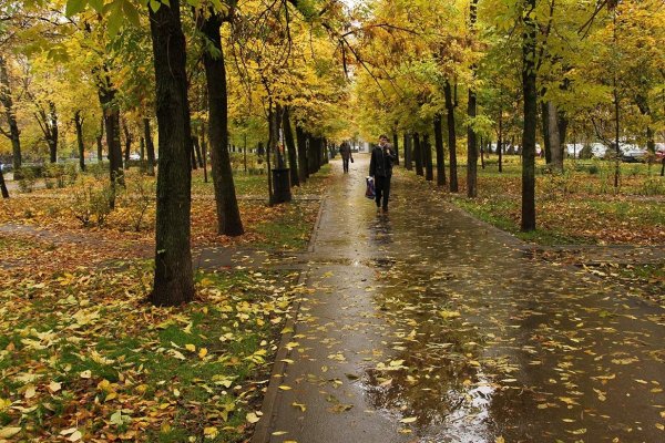 Сентябрь природа город