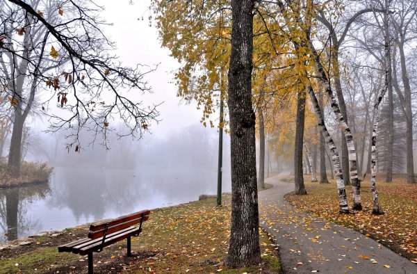 Поздняя осень в парке