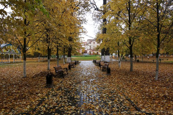 Осенний дождливый парк