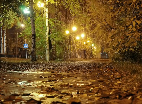 Осень вечер