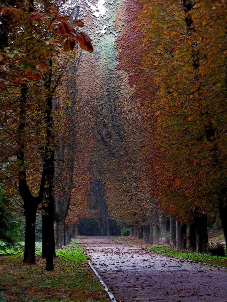 Парк осенью