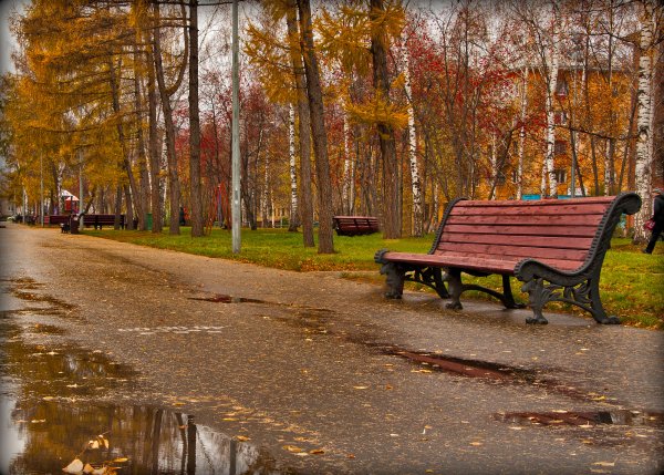 Парк Победы в Самаре скамейки