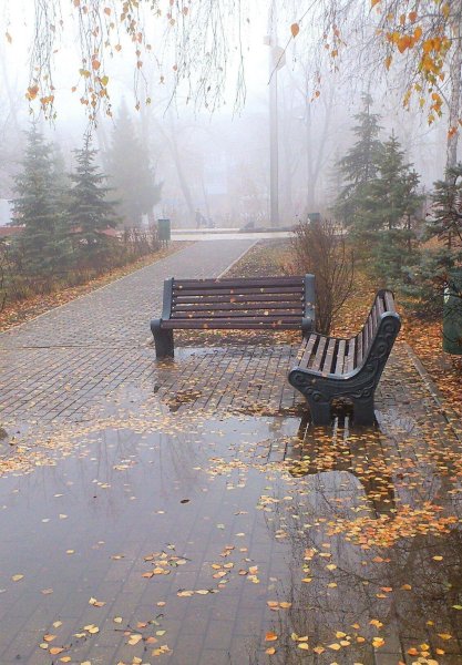 Осенний дождь