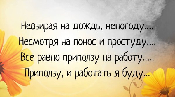 Несмотря на непогоду