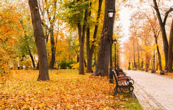 Прогулка в осеннем парке