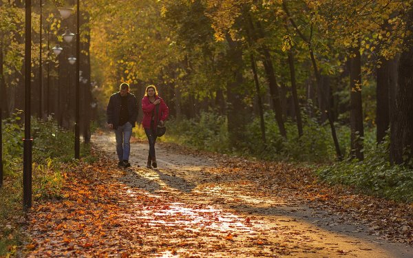 Прогулка в осеннем парке