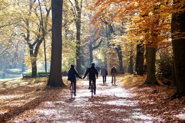 Прогулка в осеннем парке