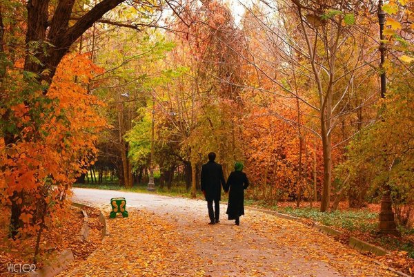 Прогулка в парке осенью