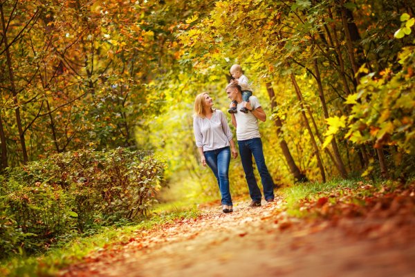 Прогулка по осеннему лесу