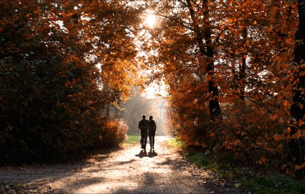 Двое на тропинке