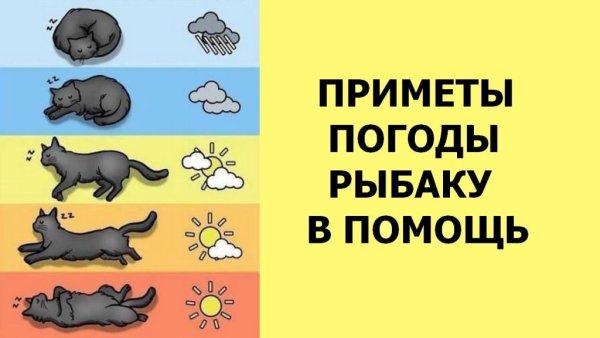 Приметы погоды рисунок