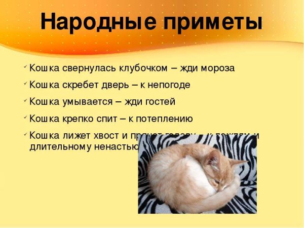 Народные приметы
