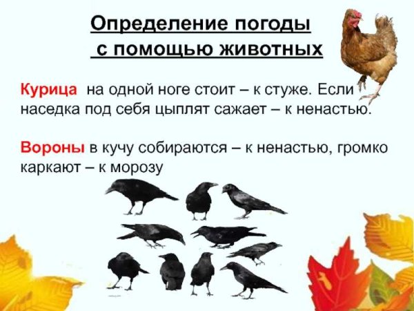 Народные приметы которые предсказывают погоду