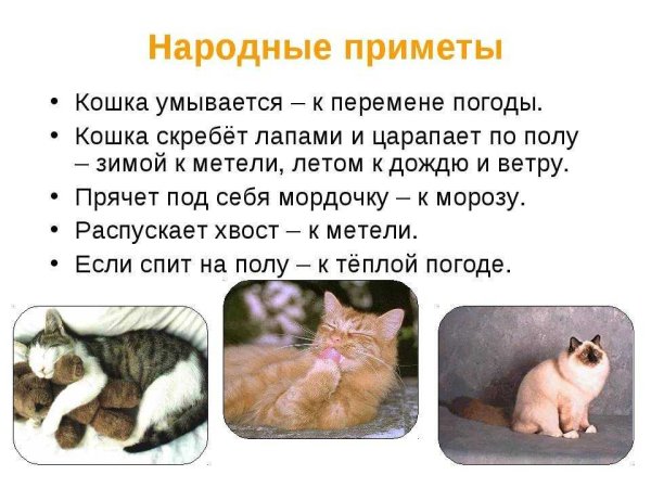 Народные приметы