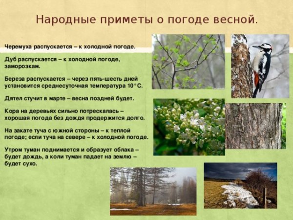 Народные приметы о погоде весной