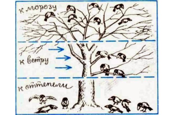 Народные приметы о погоде рисунки