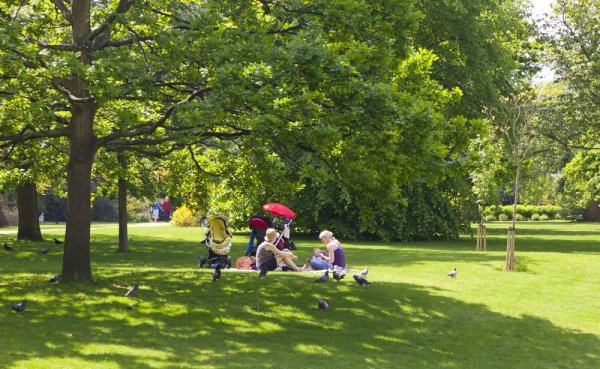 Прогулка в парке на английском