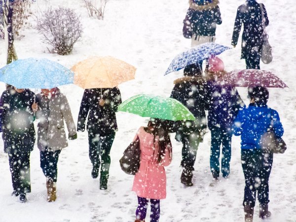 Дожди и снега летом